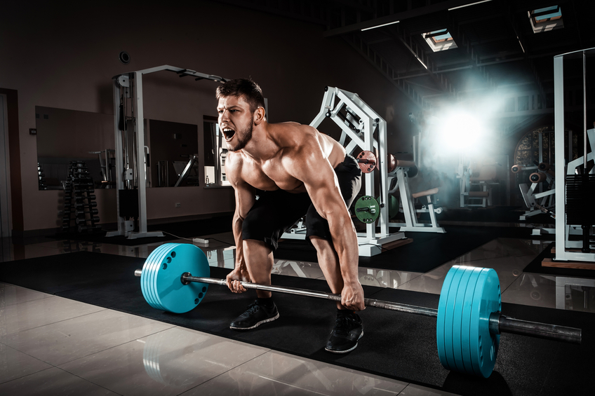 The Protein Myth