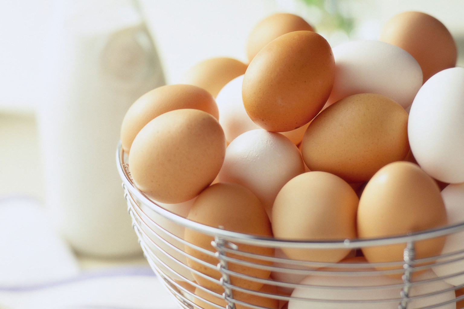 Nutrition Myth #1