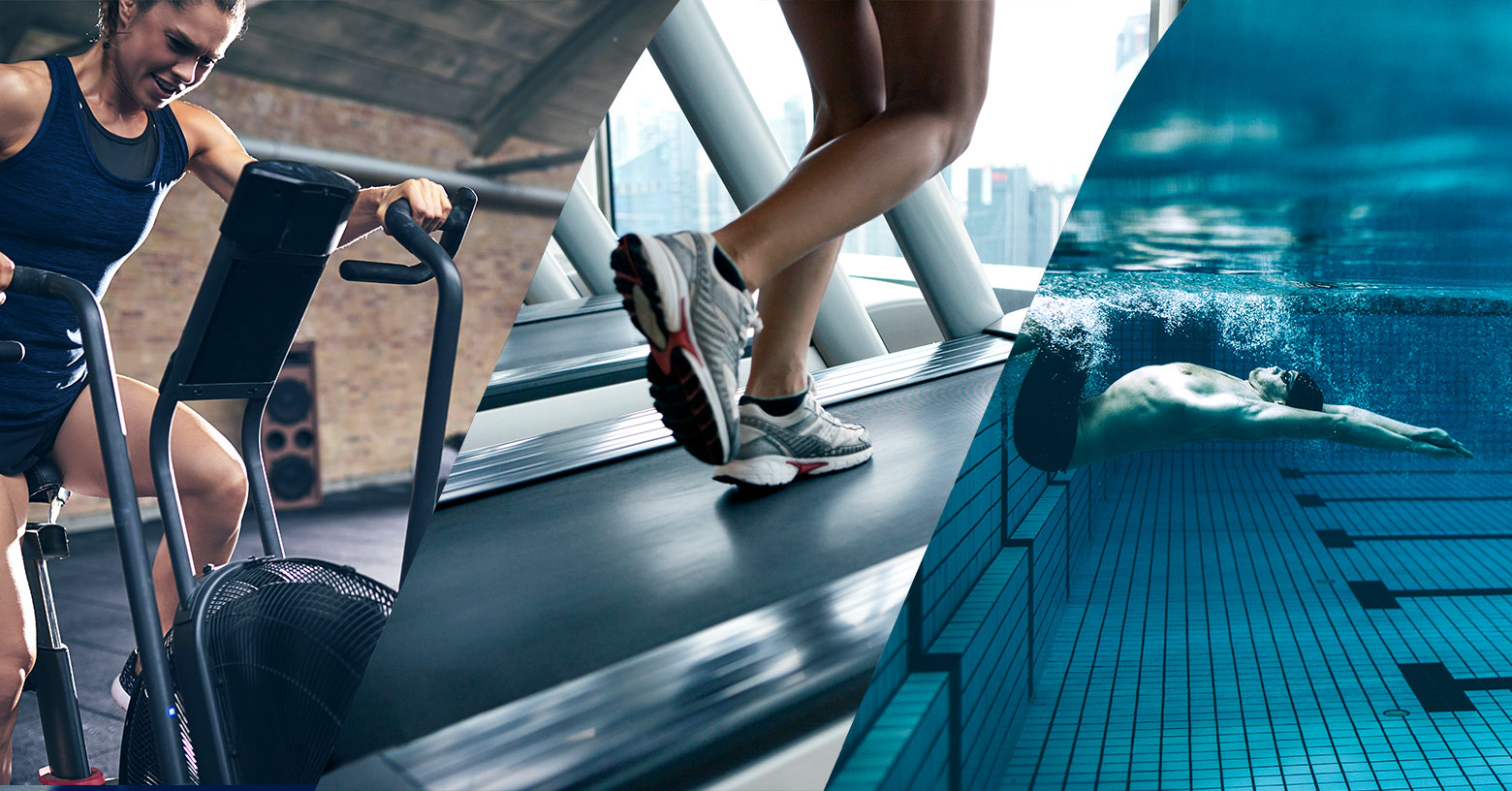 Fitness Assessment For Personal Training – Why They Are Important